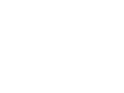 Audika